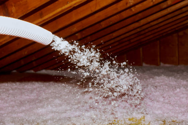 Best Residential Insulation in Reed Creek, GA