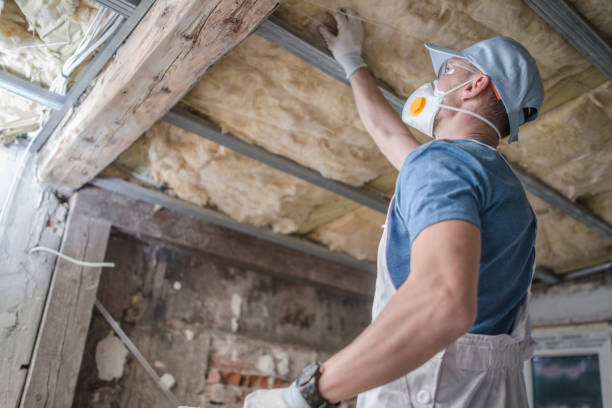 Best Spray Foam Insulation in Reed Creek, GA