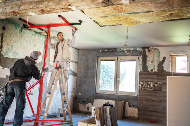 Best Insulation Maintenance and Repair in Reed Creek, GA