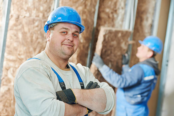 Best Specialized Insulation Services in Reed Creek, GA