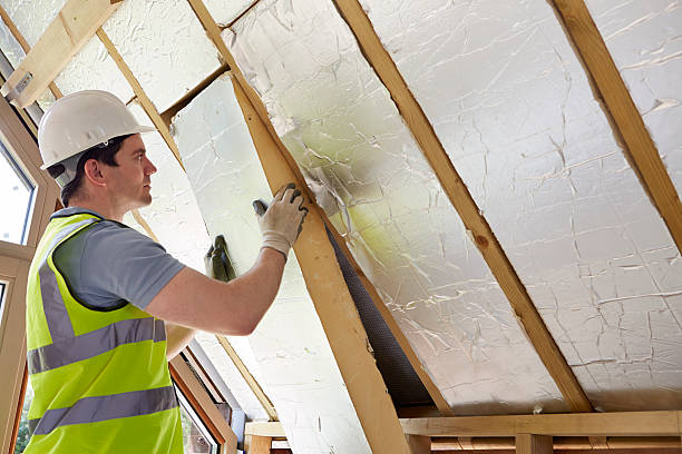 Best Geographic-Specific Insulation Services in Reed Creek, GA